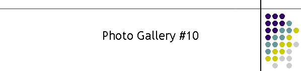 Photo Gallery #10