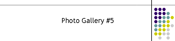 Photo Gallery #5