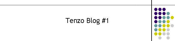 Tenzo Blog #1