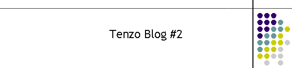 Tenzo Blog #2